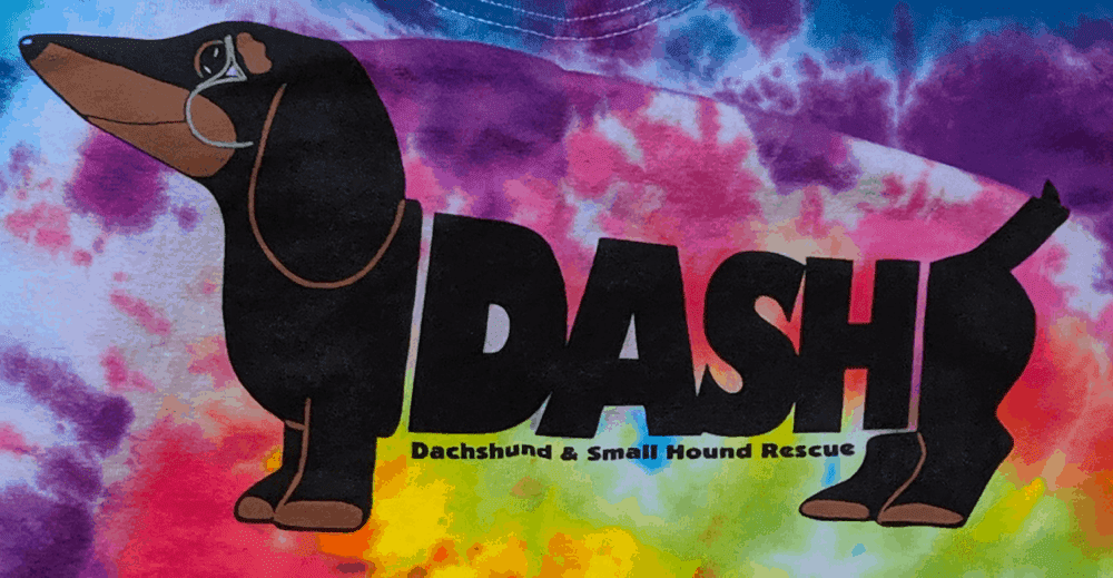 DASH Rescue