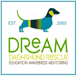 DREAM Dachshund Rescue