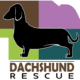 Dachshund Rescue