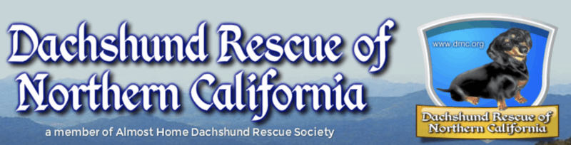 Dachshund Rescue of Northern California