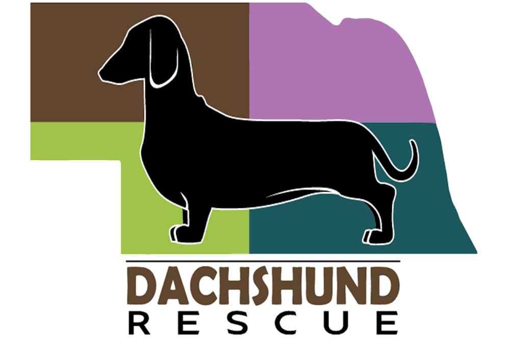 Dachshund Rescue