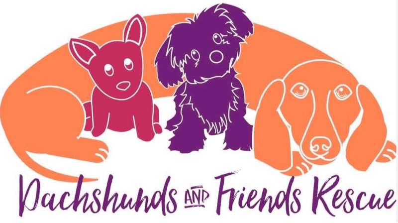 Dachshunds and Friends Rescue