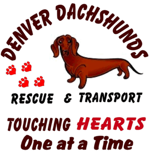 Denver Dachshunds Rescue & Transport