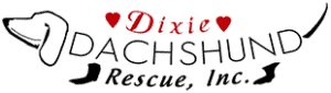 Dixie Dachshund Rescue