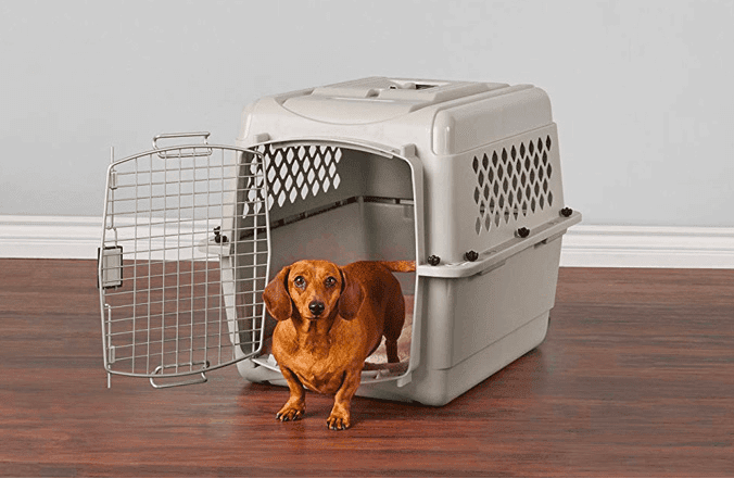 Dog crate for Dachshund