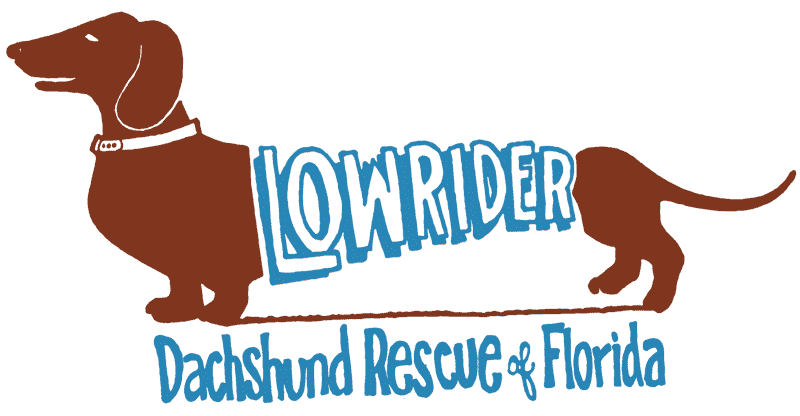 Low Rider Dachshund Rescue of Florida