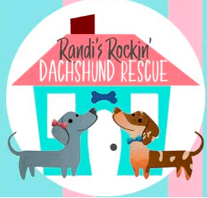 Randi’s Rockin Dachshund Rescue