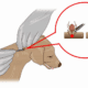 Dachshund Tick Removal
