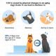dog cognitive dysfunction