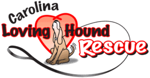 Carolina Loving Hound Rescue