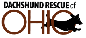 Dachshund Rescue of Ohio