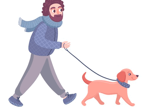 How to Walk Your Dachshund: 8 Simple Tips