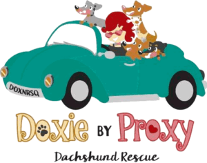 Doxy By Proxy Dachshund Rescue