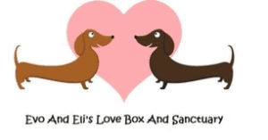 Evo and Eli’s Love Box and Sanctuary