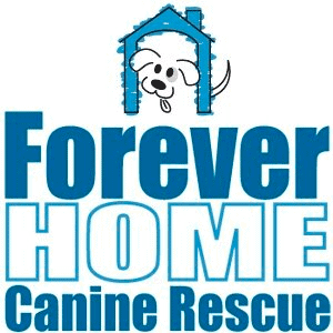 Forever Home Rescue