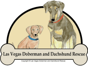 Las Vegas Doberman and Dachshund Rescue