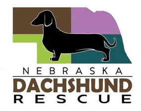 Nebraska Dachshund Rescue