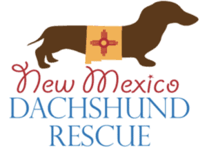 New Mexico Dachshund Rescue