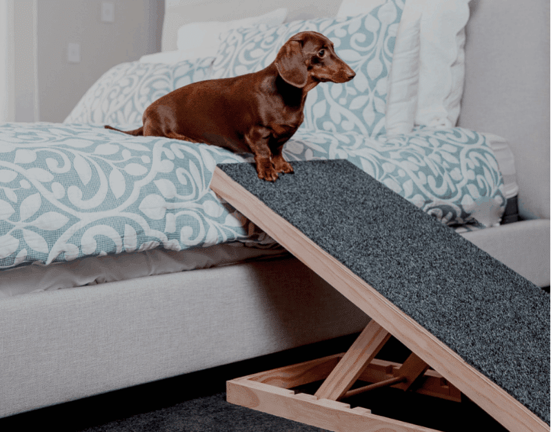 Bed dog ramp for Dachshund