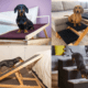 Best Dachshund Ramps