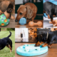 Best Dog Toys For Dachshund