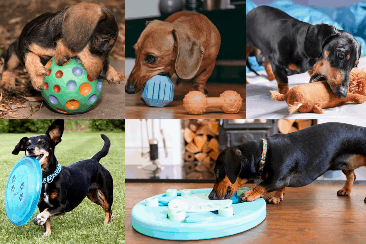 Best Dog Toys For Dachshund