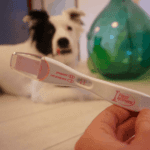 Top 6 Best Dog Pregnancy Test Kits in 2023