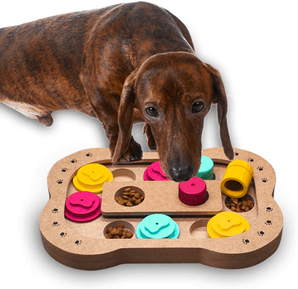 Interactive Puzzle Toys dachshund