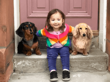 Are Dachshunds Good With Kid