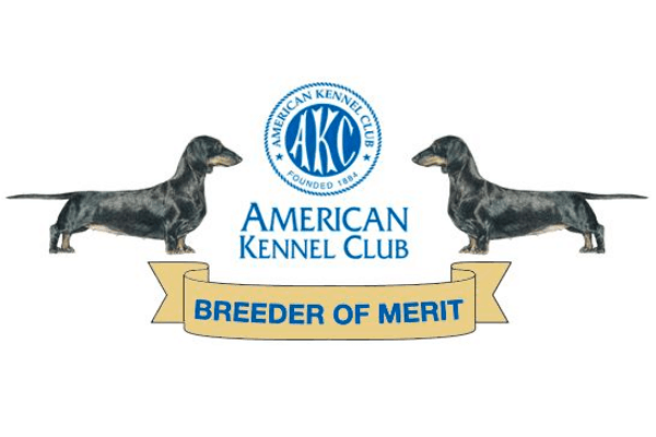 Best Dachshund Breeders