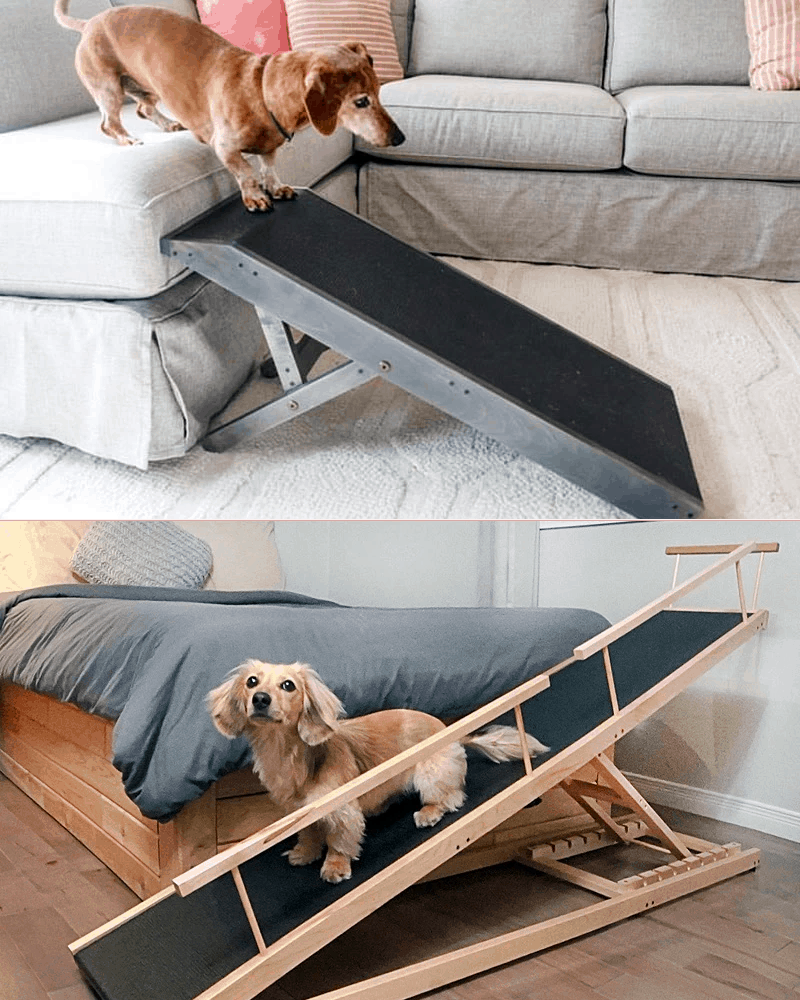 Best Dog Ramp for Dachshunds