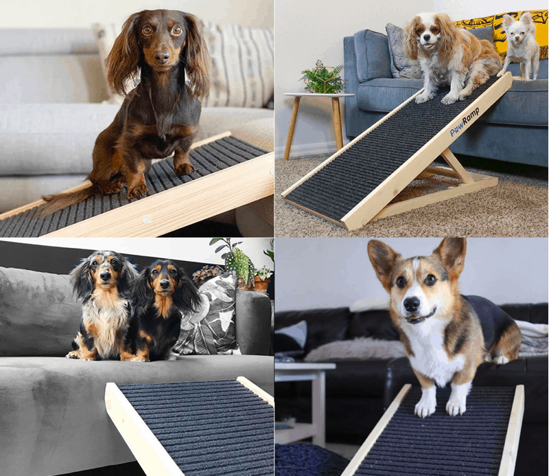 AlphaPaw Dog Ramps for Bed and Couch