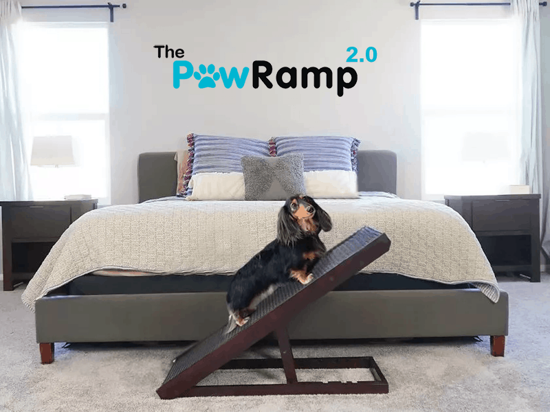 AlphaPaw PawRamp 2023 Reviews – Features Pros, Cons and Ratings