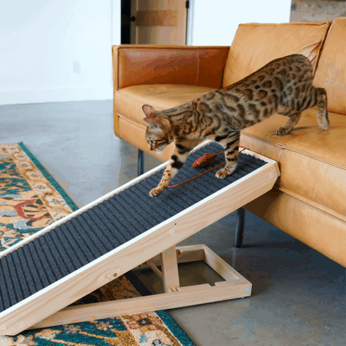 AlphaPaw ScratchyRamp for Cats