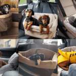 Top 10 Best Dachshund Car Seat To Keep Your Doxie Friend Safe