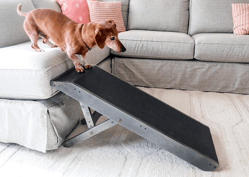 Best Dog Ramp for Couch
