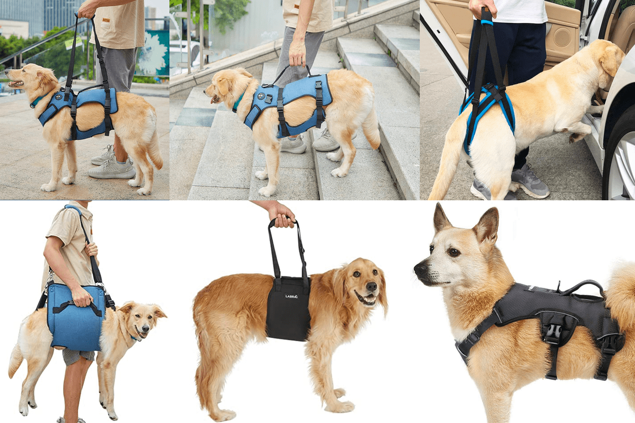 Best Dog Lift Harness and Sling